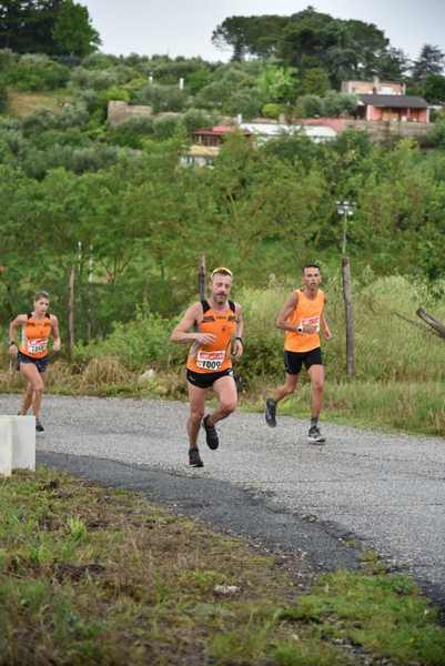 Maratonina di Villa Adriana [TOP] [C.C.R.]  (19/05/2019) 00117