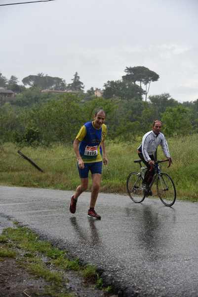 Maratonina di Villa Adriana [TOP] [C.C.R.]  (19/05/2019) 00209
