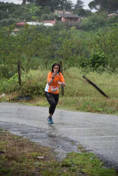 Maratonina di Villa Adriana [TOP] [C.C.R.]  (19/05/2019) 00230