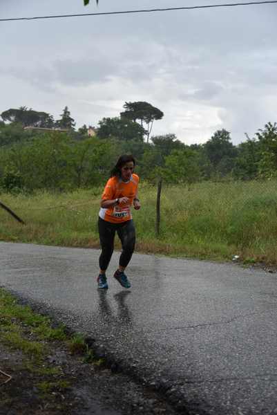 Maratonina di Villa Adriana [TOP] [C.C.R.]  (19/05/2019) 00239