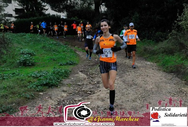 Maratonina di S.Alberto Magno [TOP] (16/11/2019) 00010