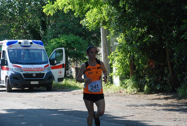 Maratonina di Villa Adriana [TOP] (28/05/2023) 0057