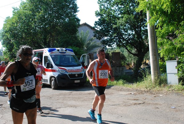 Maratonina di Villa Adriana [TOP] (28/05/2023) 0099