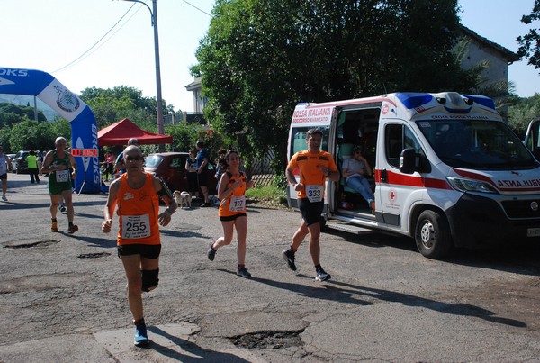 Maratonina di Villa Adriana [TOP] (28/05/2023) 0116