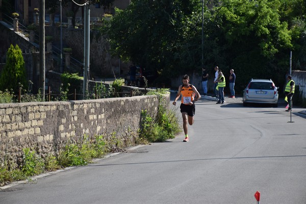 Maratonina di Villa Adriana [TOP] (28/05/2023) 0042