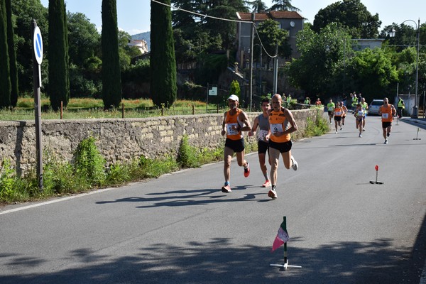 Maratonina di Villa Adriana [TOP] (28/05/2023) 0071