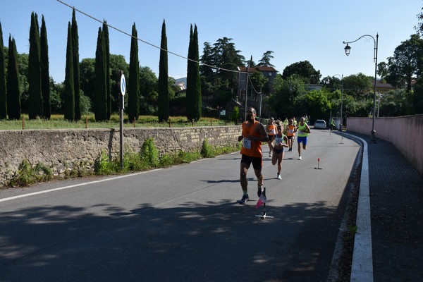 Maratonina di Villa Adriana [TOP] (28/05/2023) 0078