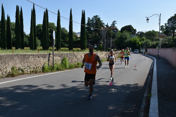 Maratonina di Villa Adriana [TOP] (28/05/2023) 0079