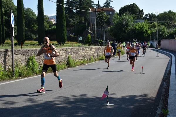Maratonina di Villa Adriana [TOP] (28/05/2023) 0117