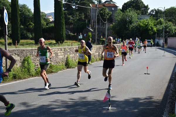 Maratonina di Villa Adriana [TOP] (28/05/2023) 0143