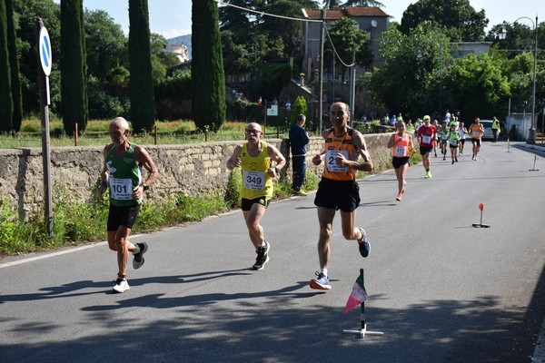 Maratonina di Villa Adriana [TOP] (28/05/2023) 0144