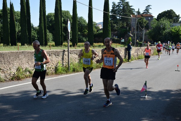 Maratonina di Villa Adriana [TOP] (28/05/2023) 0145