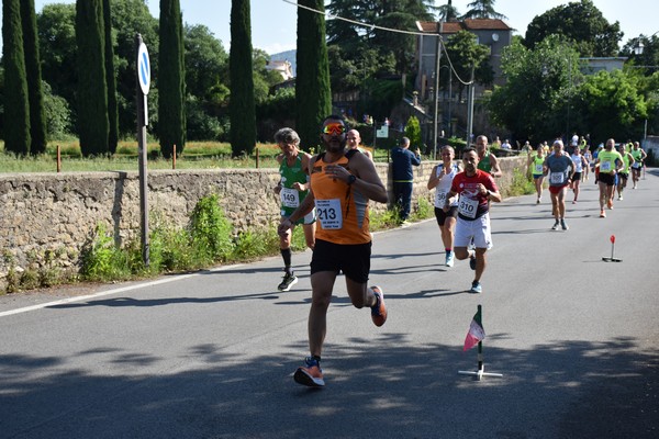 Maratonina di Villa Adriana [TOP] (28/05/2023) 0155