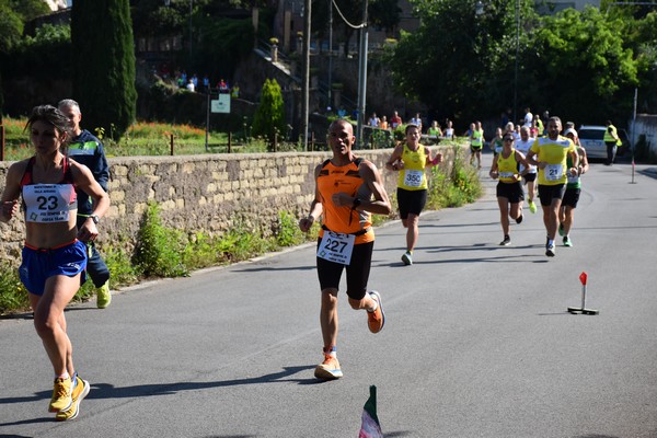 Maratonina di Villa Adriana [TOP] (28/05/2023) 0162