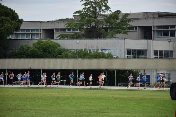 Mezza Maratona di Latina - 10Km (21/05/2023) 0012