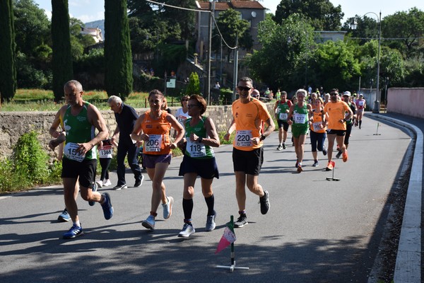 Maratonina di Villa Adriana [TOP] (28/05/2023) 0015