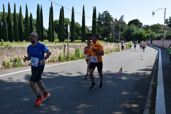 Maratonina di Villa Adriana [TOP] (28/05/2023) 0069