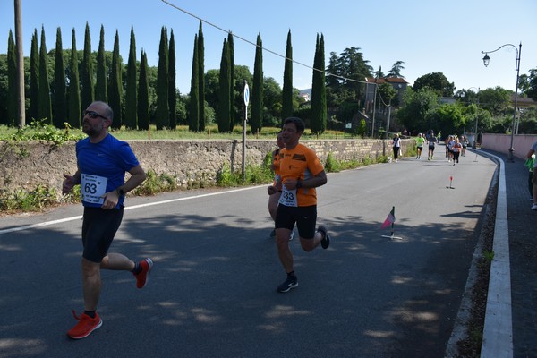 Maratonina di Villa Adriana [TOP] (28/05/2023) 0070