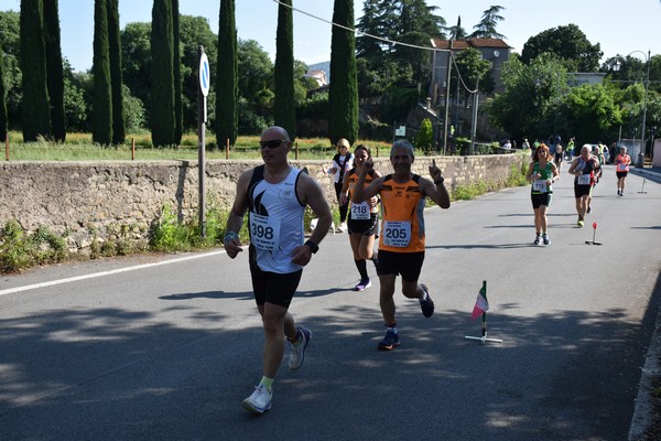 Maratonina di Villa Adriana [TOP] (28/05/2023) 0085