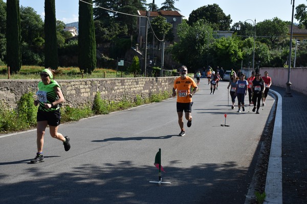 Maratonina di Villa Adriana [TOP] (28/05/2023) 0112