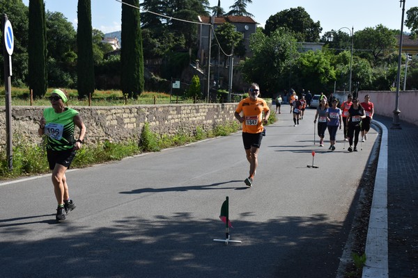 Maratonina di Villa Adriana [TOP] (28/05/2023) 0113