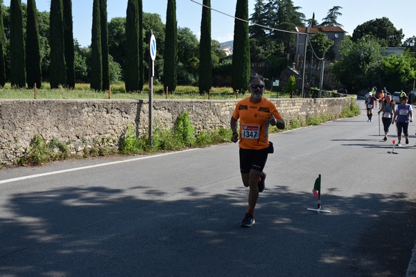 Maratonina di Villa Adriana [TOP] (28/05/2023) 0119
