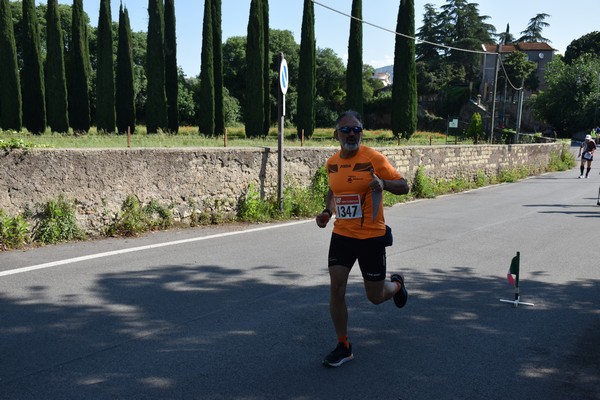 Maratonina di Villa Adriana [TOP] (28/05/2023) 0121