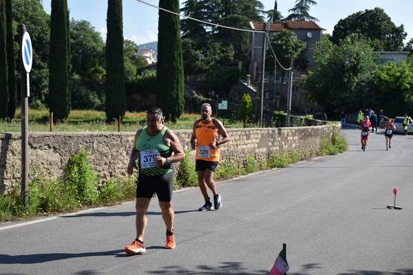 Maratonina di Villa Adriana [TOP] (28/05/2023) 0124