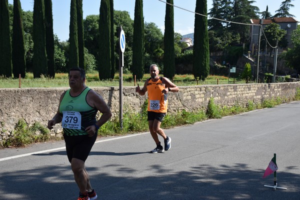 Maratonina di Villa Adriana [TOP] (28/05/2023) 0128