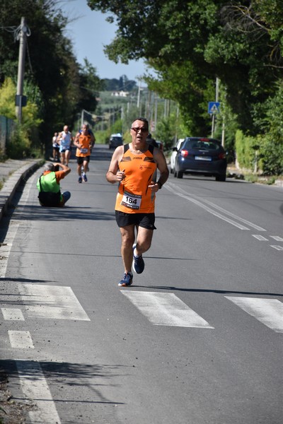 Maratonina di San Luigi (11/06/2023) 0119