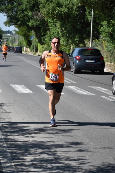 Maratonina di San Luigi (11/06/2023) 0125