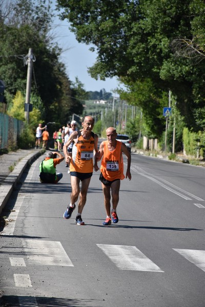 Maratonina di San Luigi (11/06/2023) 0140