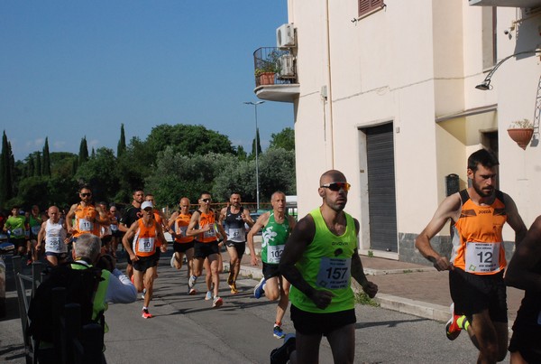 Maratonina di Villa Adriana [TOP] (28/05/2023) 0005