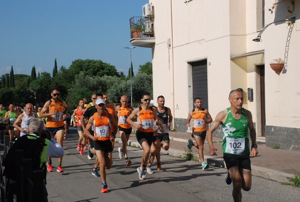 Maratonina di Villa Adriana [TOP] (28/05/2023) 0006