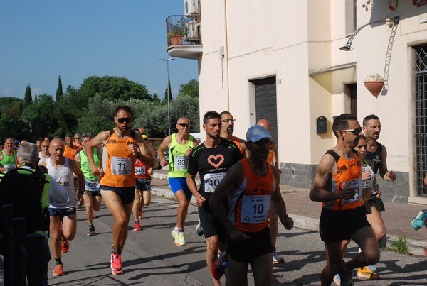 Maratonina di Villa Adriana [TOP] (28/05/2023) 0008