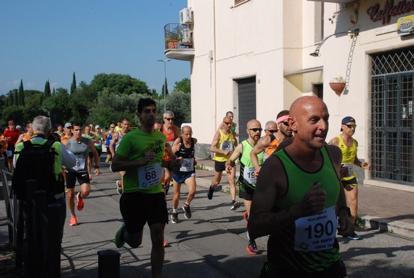 Maratonina di Villa Adriana [TOP] (28/05/2023) 0012