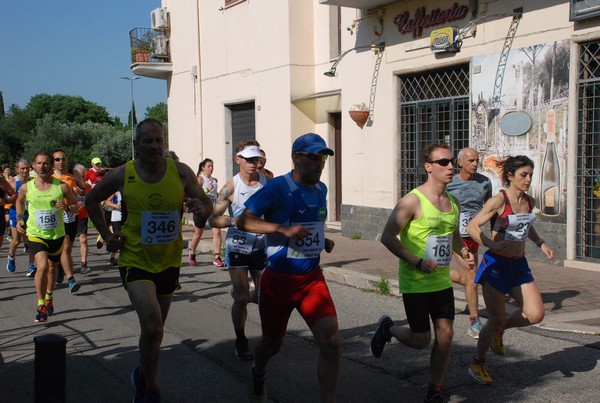 Maratonina di Villa Adriana [TOP] (28/05/2023) 0020