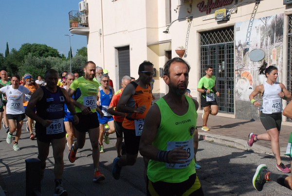 Maratonina di Villa Adriana [TOP] (28/05/2023) 0023