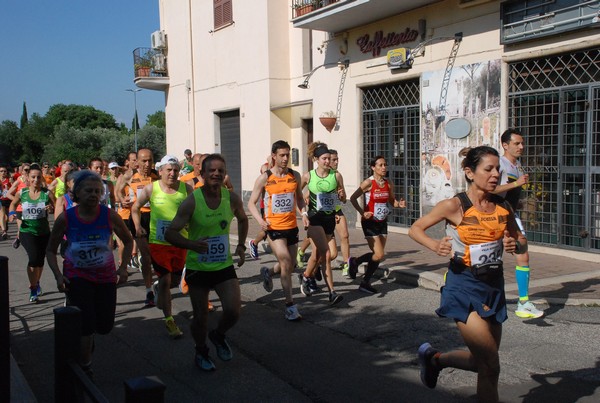 Maratonina di Villa Adriana [TOP] (28/05/2023) 0029