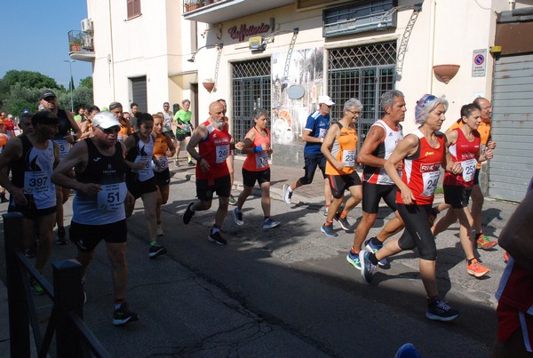 Maratonina di Villa Adriana [TOP] (28/05/2023) 0050