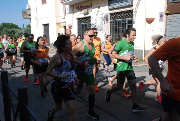 Maratonina di Villa Adriana [TOP] (28/05/2023) 0062