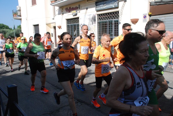 Maratonina di Villa Adriana [TOP] (28/05/2023) 0063