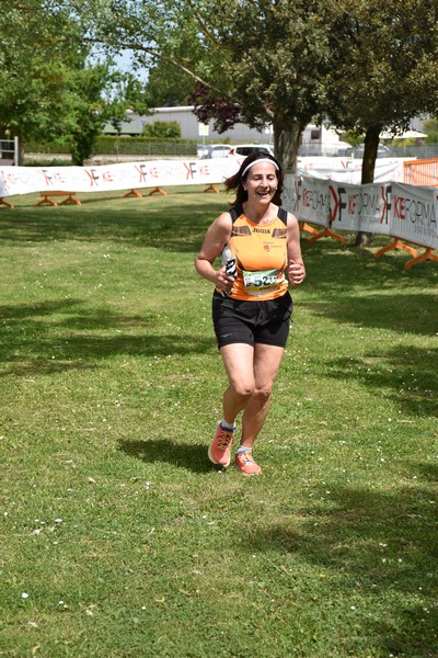 Crete Senesi Ultra Marathon 50K (06/05/2023) 0091