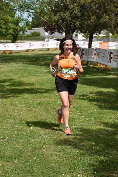Crete Senesi Ultra Marathon 50K (06/05/2023) 0092