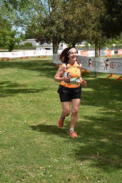Crete Senesi Ultra Marathon 50K (06/05/2023) 0094
