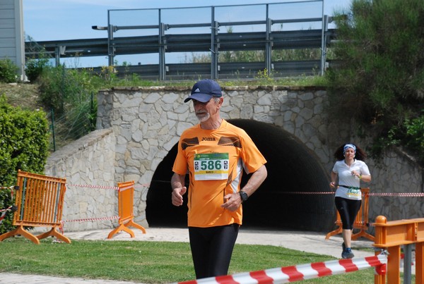 Crete Senesi Ultra Marathon 50K (06/05/2023) 0169