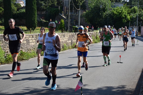 Maratonina di Villa Adriana [TOP] (28/05/2023) 0047