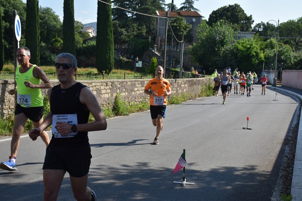 Maratonina di Villa Adriana [TOP] (28/05/2023) 0074