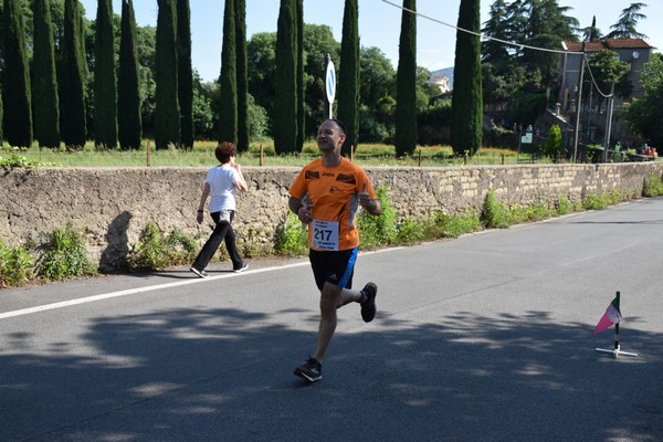 Maratonina di Villa Adriana [TOP] (28/05/2023) 0081