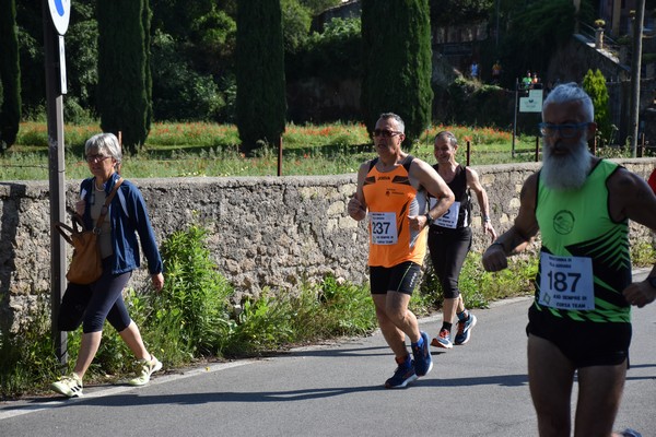 Maratonina di Villa Adriana [TOP] (28/05/2023) 0087